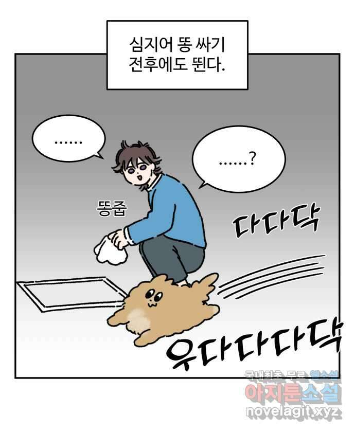 강아지는 멍멍하고 짖지 않아! 40화 - 개춘기 2 4