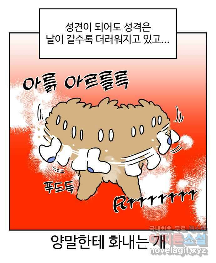강아지는 멍멍하고 짖지 않아! 40화 - 개춘기 2 9