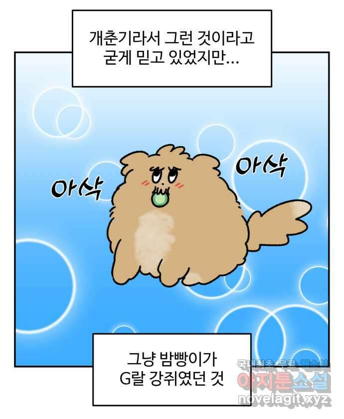 강아지는 멍멍하고 짖지 않아! 40화 - 개춘기 2 18