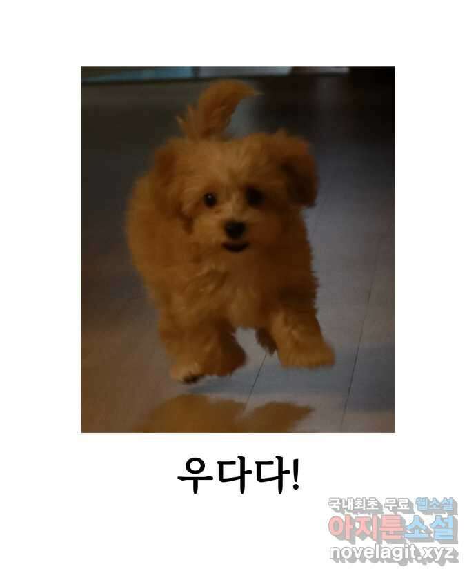 강아지는 멍멍하고 짖지 않아! 40화 - 개춘기 2 24