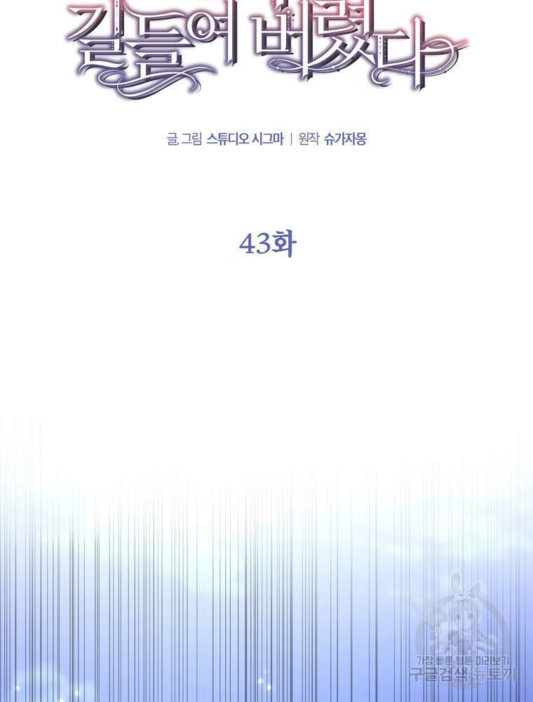 나를 죽일 남주를 길들여버렸다 43화 14