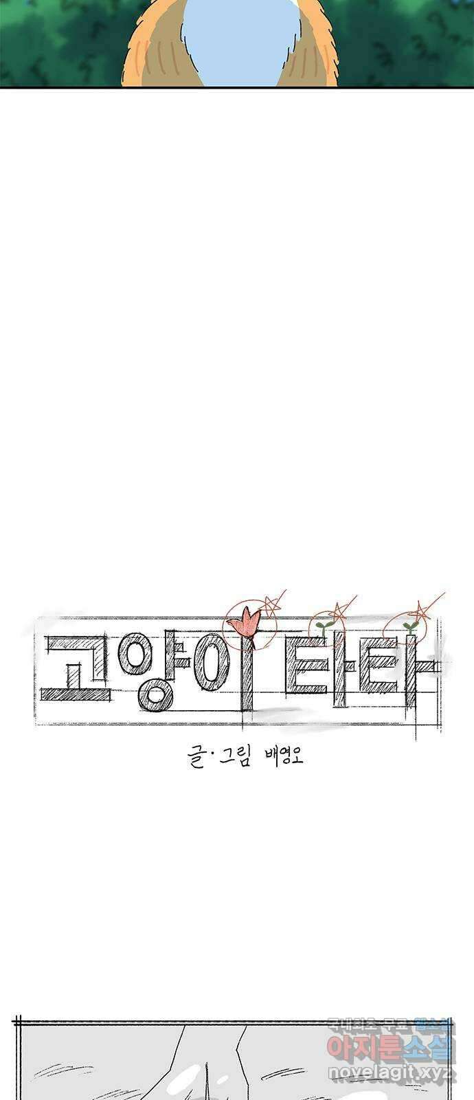 고양이 타타 마지막화 12