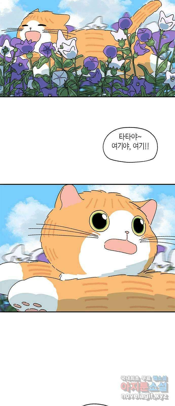 고양이 타타 마지막화 34