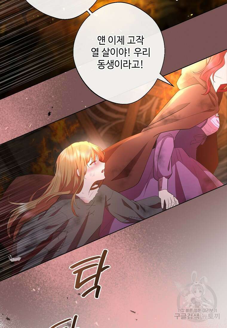 후원에 핀 제비꽃 2화 84