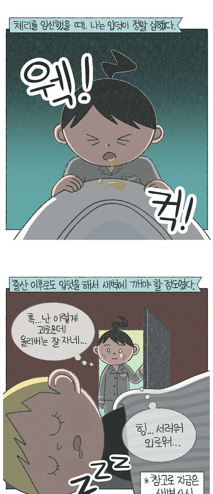 마님이네 미국 시골집 이야기 31화 내가 입덧하는데 혼자 잘 자는 남편 1