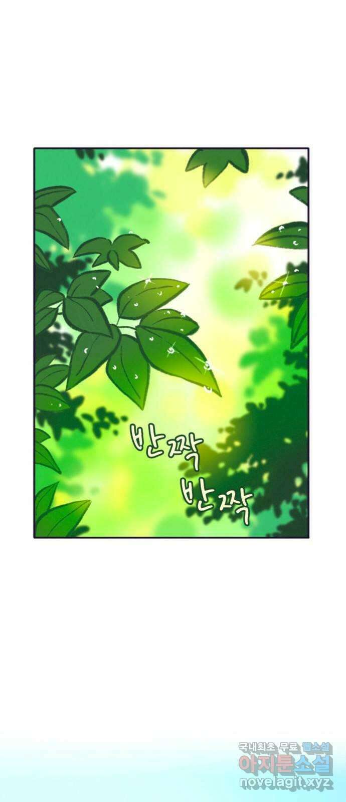 올빼미와 여름 하늘 32화 1