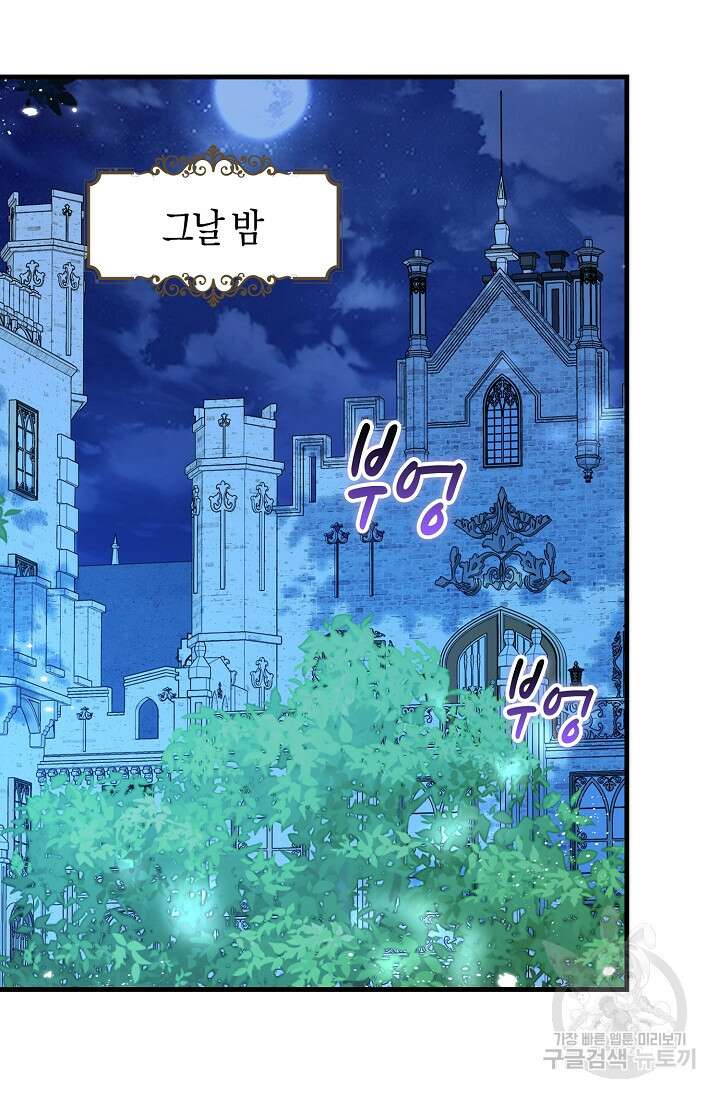 시한부라서 남주의 형과 결혼했더니 내게 집착한다 16화 14