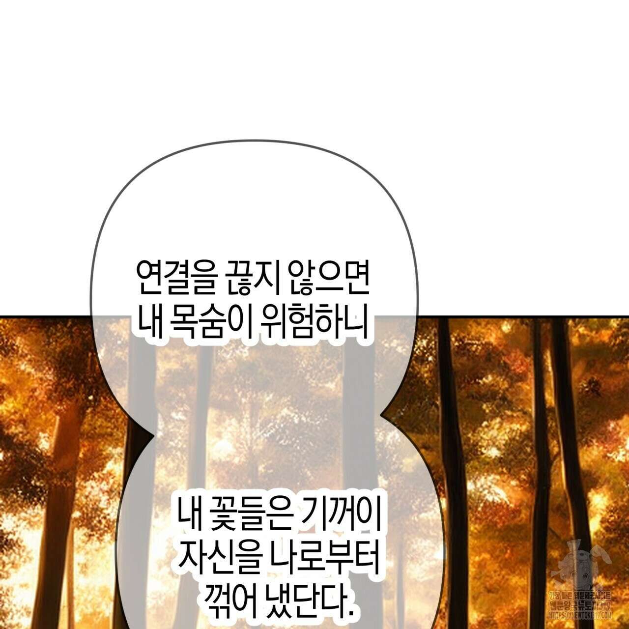 테라리움 어드벤처 75화 24