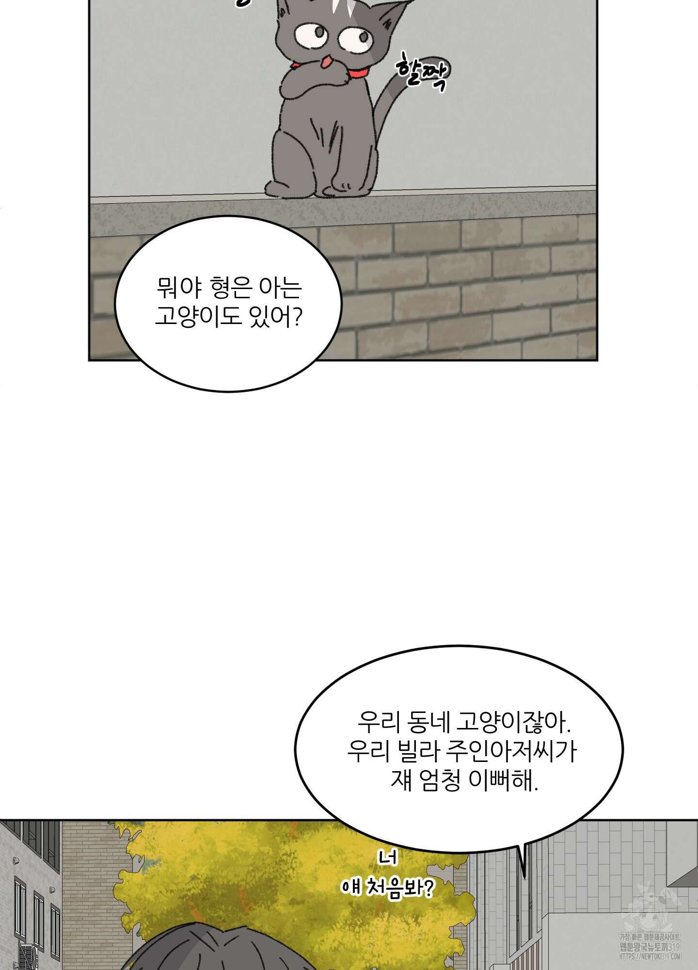 행방불명 로맨스 19화 42