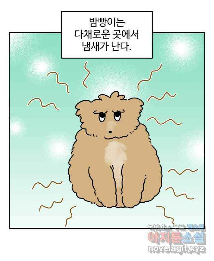 강아지는 멍멍하고 짖지 않아! 52화 - 꼬순내 관찰일지 1