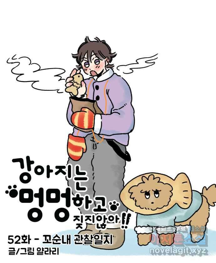 강아지는 멍멍하고 짖지 않아! 52화 - 꼬순내 관찰일지 4