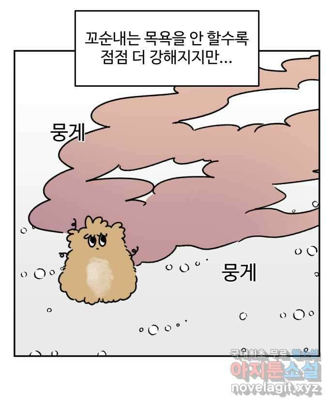 강아지는 멍멍하고 짖지 않아! 52화 - 꼬순내 관찰일지 14
