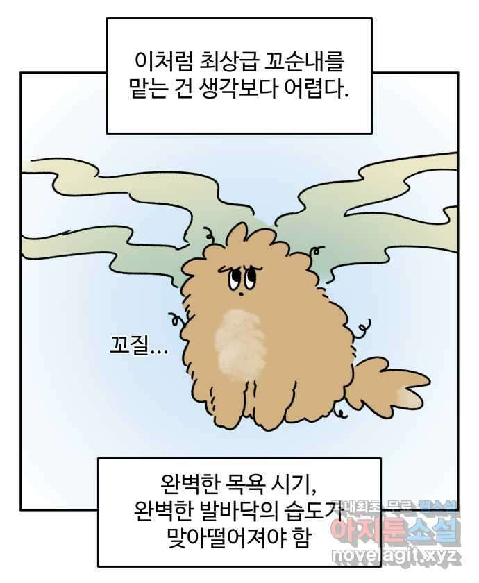 강아지는 멍멍하고 짖지 않아! 52화 - 꼬순내 관찰일지 18