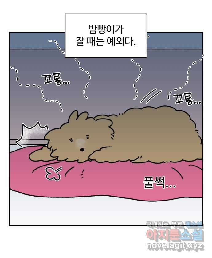 강아지는 멍멍하고 짖지 않아! 52화 - 꼬순내 관찰일지 21