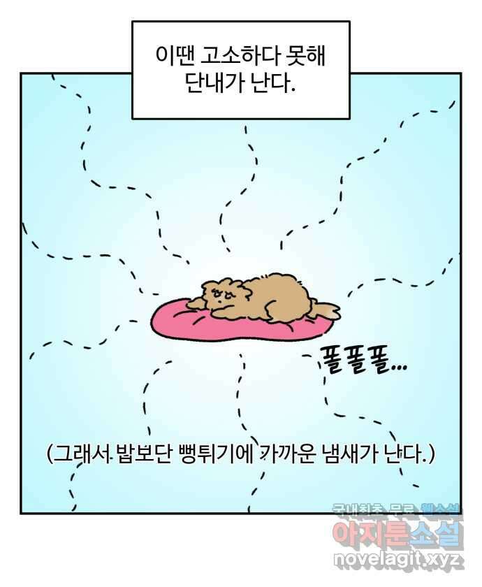 강아지는 멍멍하고 짖지 않아! 52화 - 꼬순내 관찰일지 23