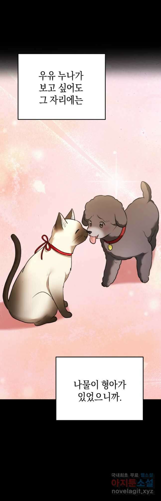 수의사님! 안녕하세요 34화 11