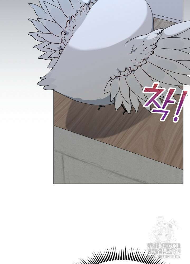 새황후 17화 3