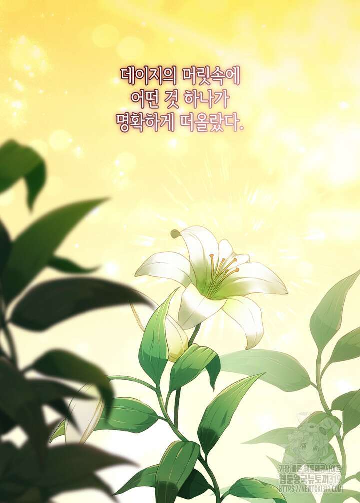 데이지-공작의 혼약자가 되는 법 177화 23