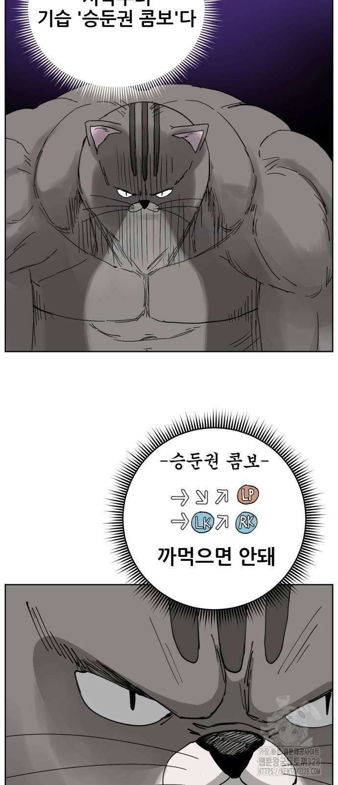 괴양이 37화 10