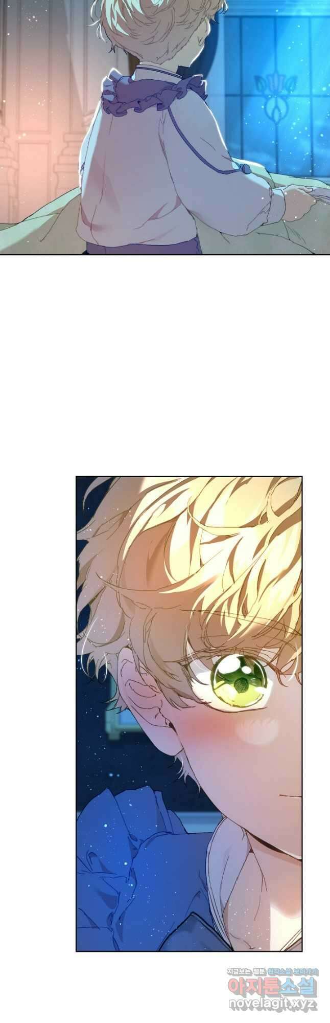 흑막 남주의 시한부 유모입니다 29화 11