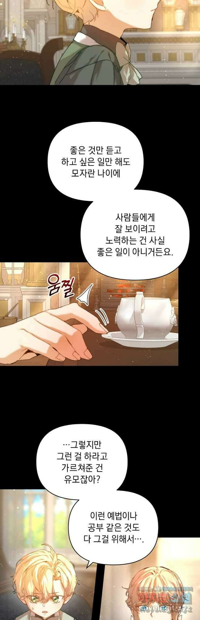 흑막 남주의 시한부 유모입니다 29화 38