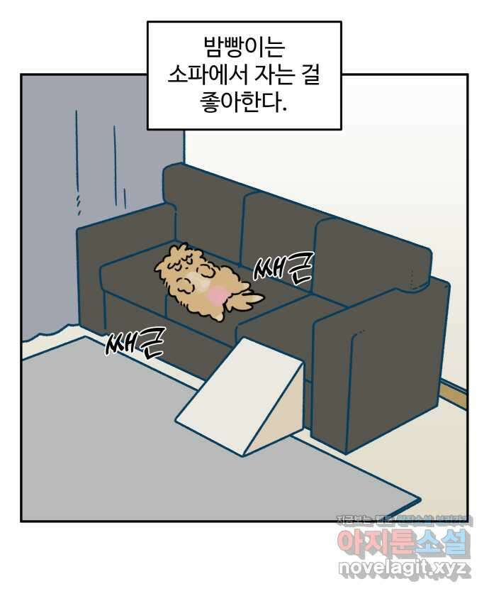 강아지는 멍멍하고 짖지 않아! 75화 - 공포의 슬개골 1