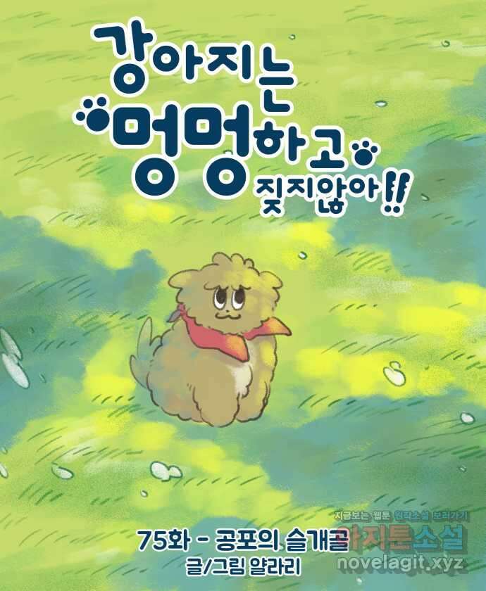 강아지는 멍멍하고 짖지 않아! 75화 - 공포의 슬개골 6