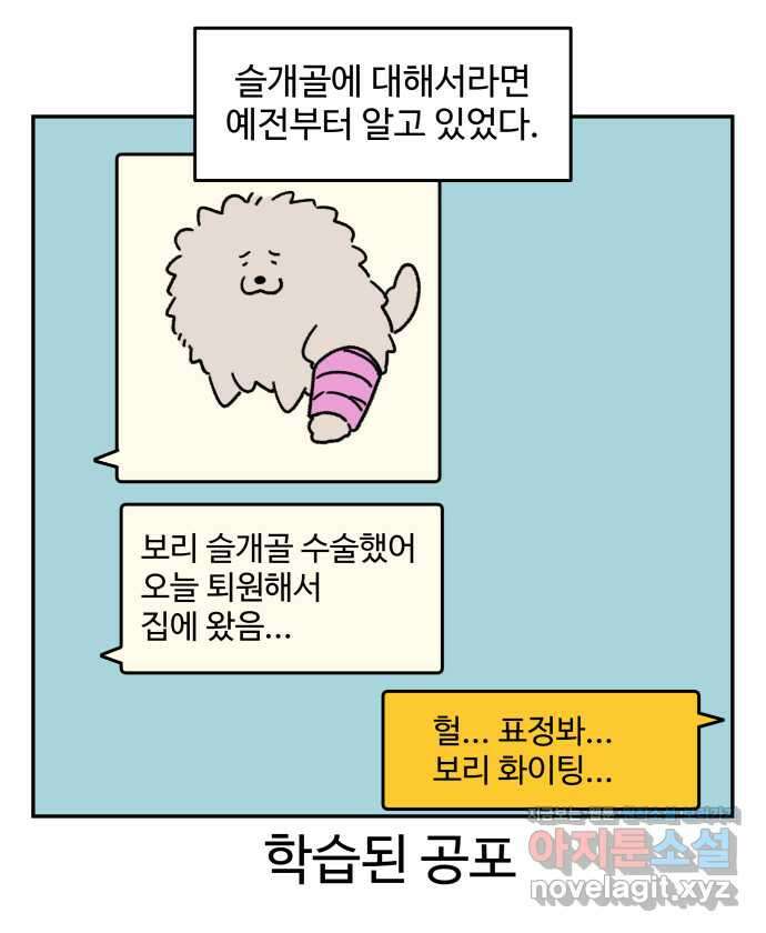 강아지는 멍멍하고 짖지 않아! 75화 - 공포의 슬개골 7