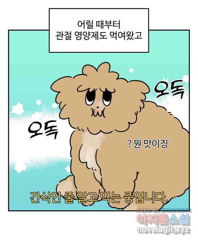 강아지는 멍멍하고 짖지 않아! 75화 - 공포의 슬개골 9