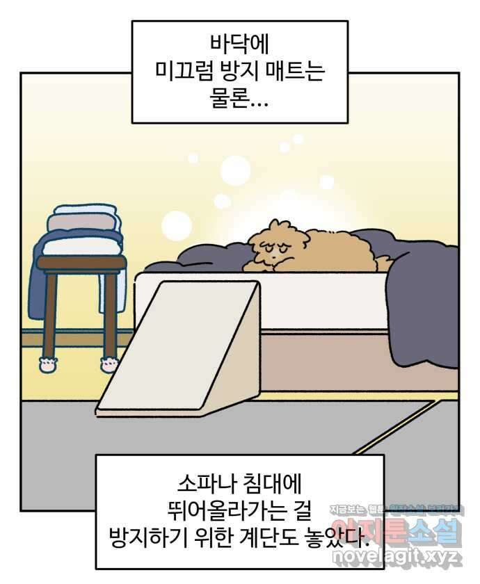 강아지는 멍멍하고 짖지 않아! 75화 - 공포의 슬개골 10