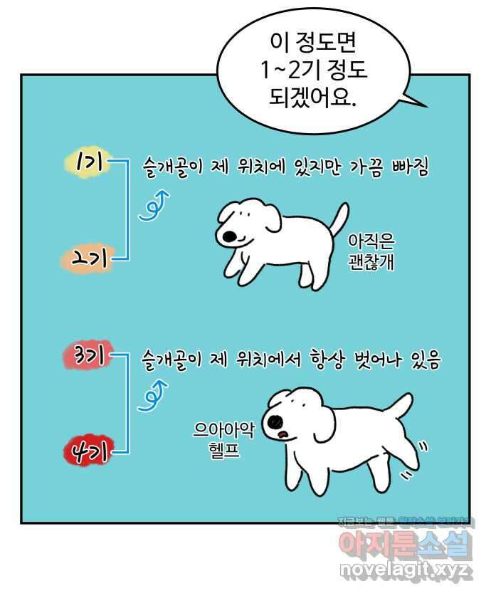 강아지는 멍멍하고 짖지 않아! 75화 - 공포의 슬개골 14