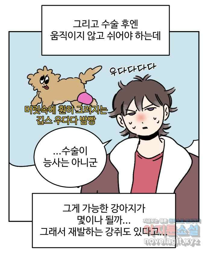 강아지는 멍멍하고 짖지 않아! 75화 - 공포의 슬개골 17
