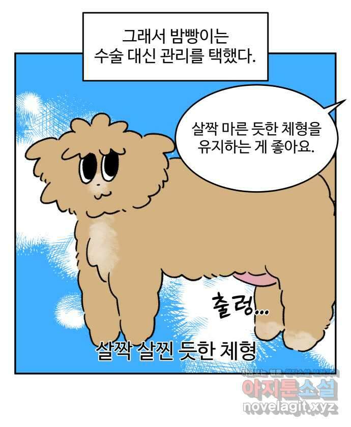 강아지는 멍멍하고 짖지 않아! 75화 - 공포의 슬개골 18
