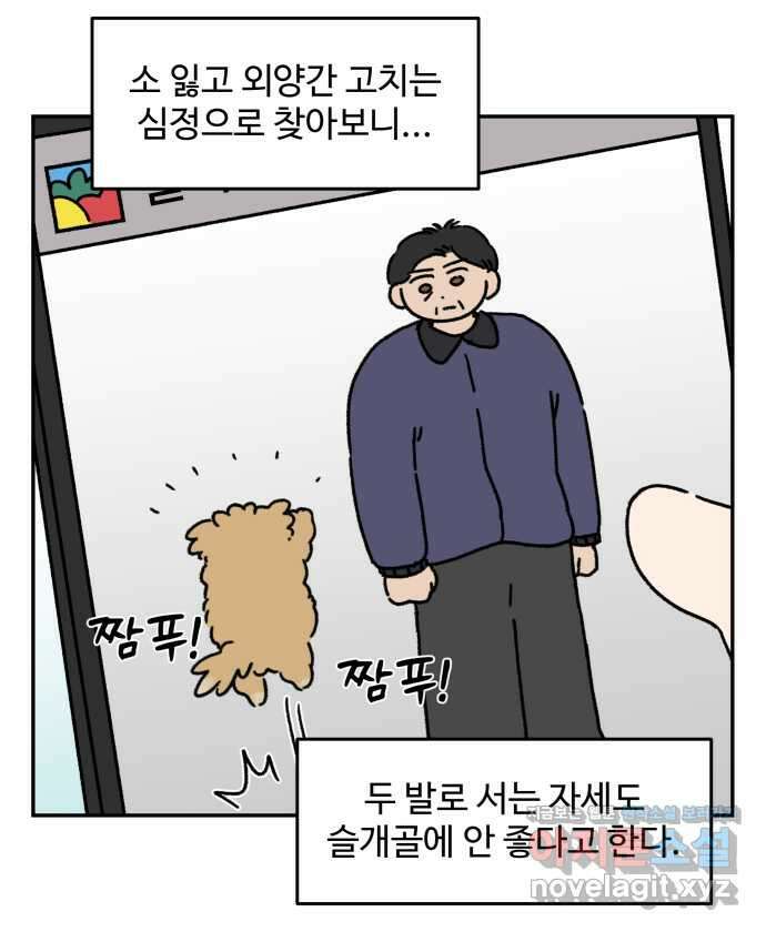 강아지는 멍멍하고 짖지 않아! 75화 - 공포의 슬개골 19