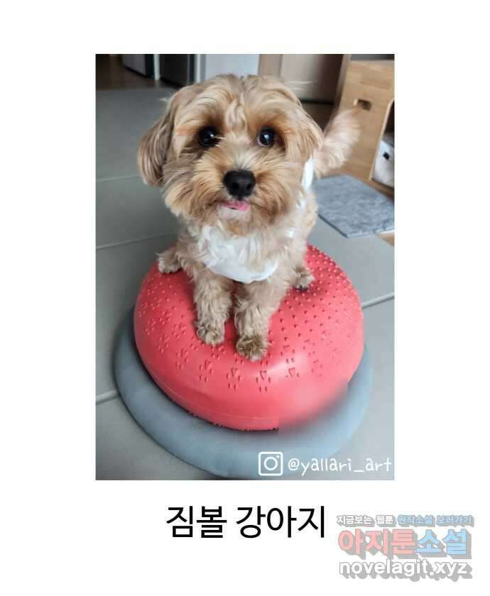 강아지는 멍멍하고 짖지 않아! 75화 - 공포의 슬개골 24