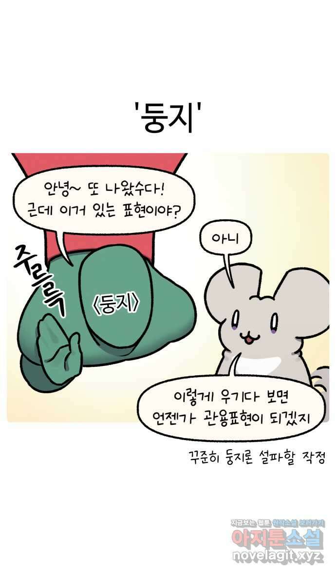 안녕, 나의 수집 126. 수납함 5