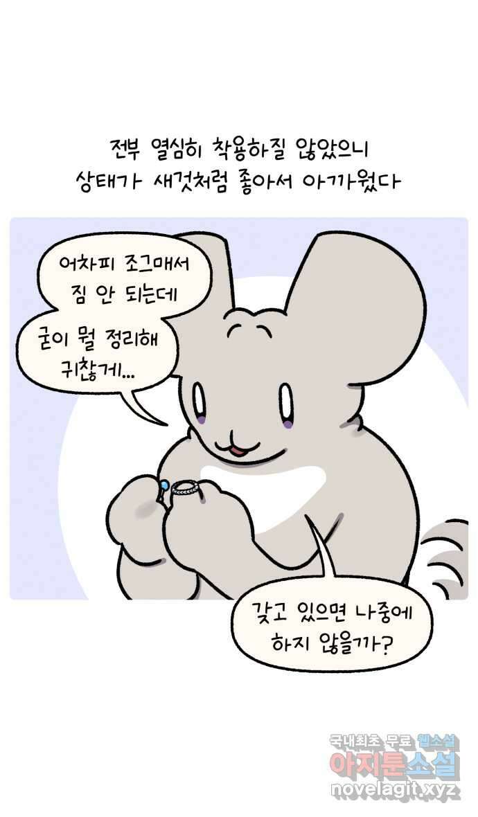 안녕, 나의 수집 127. 외전! 액세서리 대정리 (1) 4