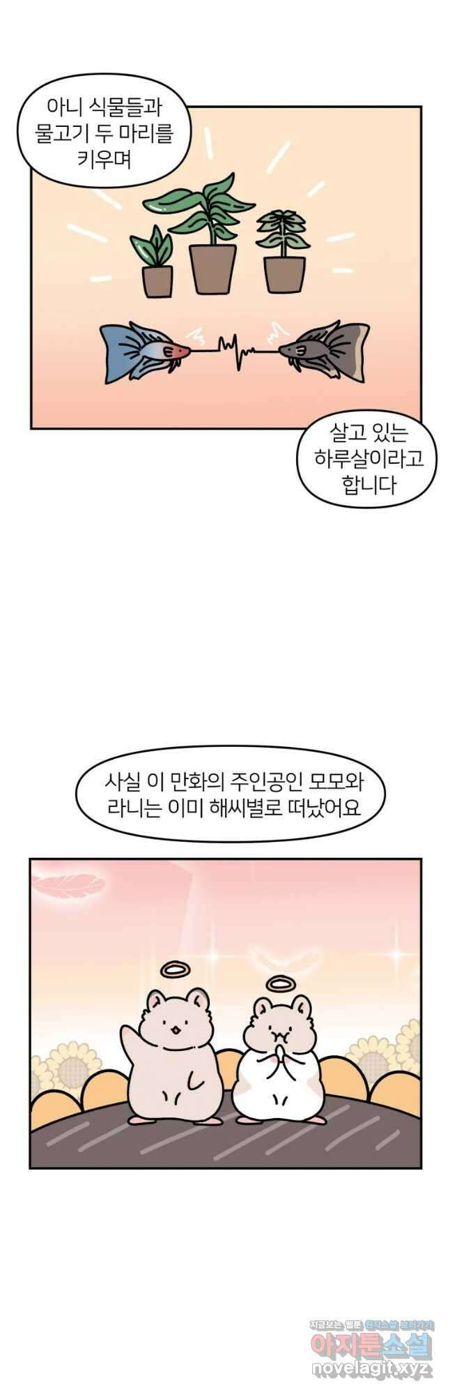 어쩌다 햄스터 프롤로그 2