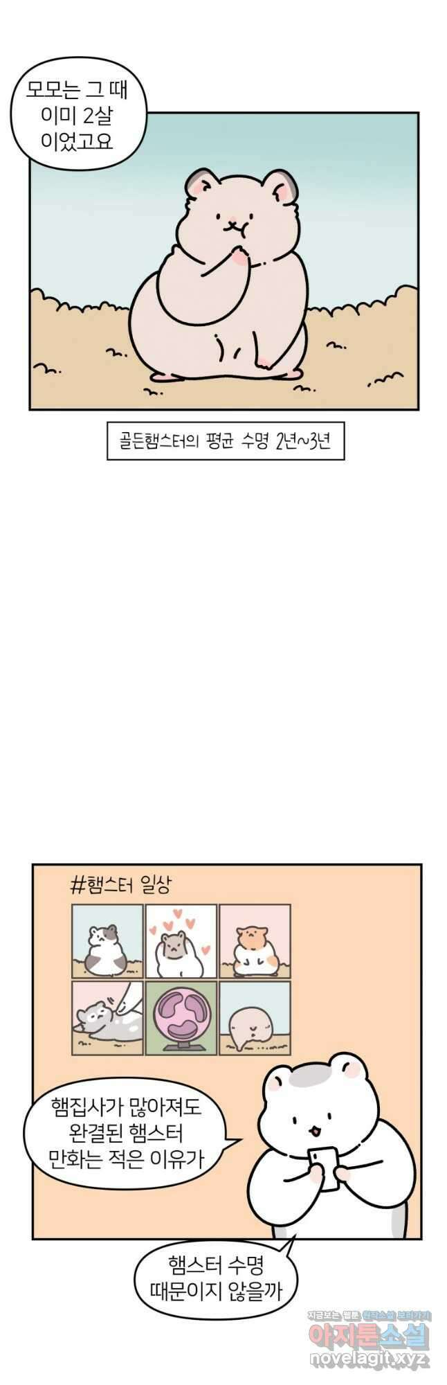 어쩌다 햄스터 프롤로그 4