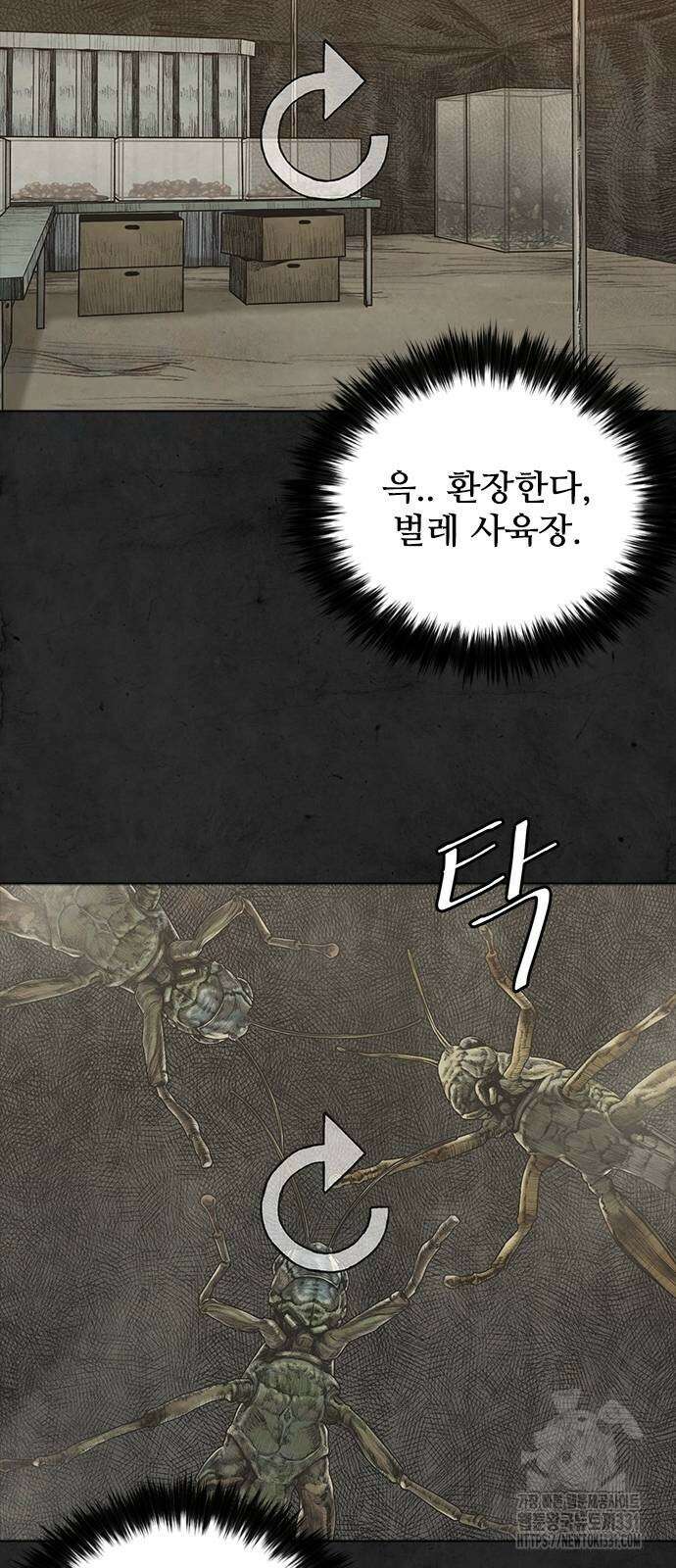 룸비니 9화 5