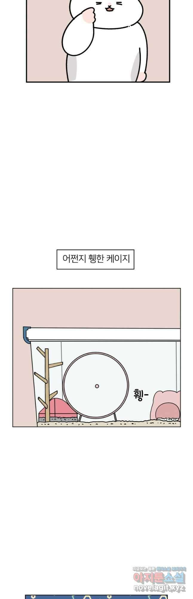 어쩌다 햄스터 6. 햄스터가 탈출했다 2