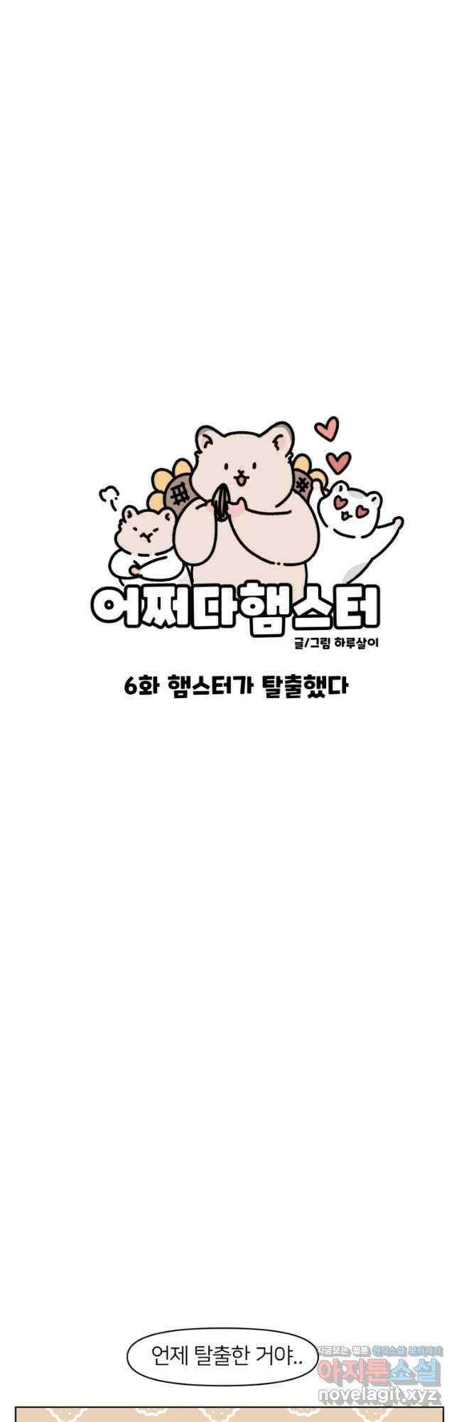 어쩌다 햄스터 6. 햄스터가 탈출했다 6