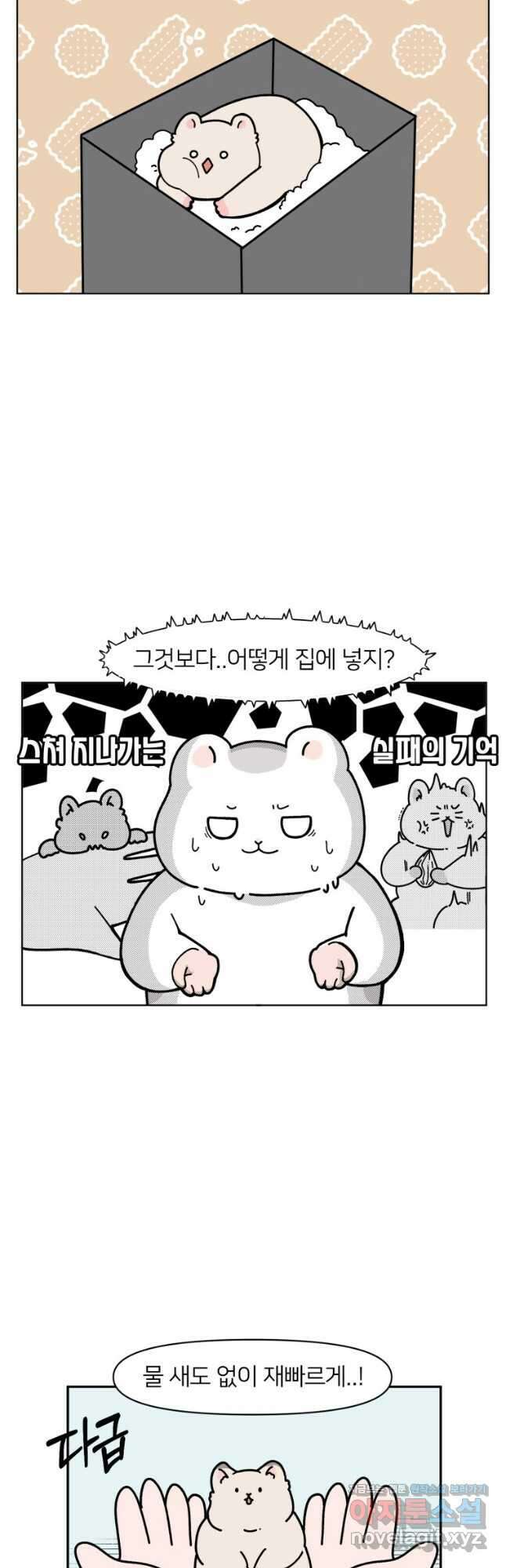 어쩌다 햄스터 6. 햄스터가 탈출했다 7