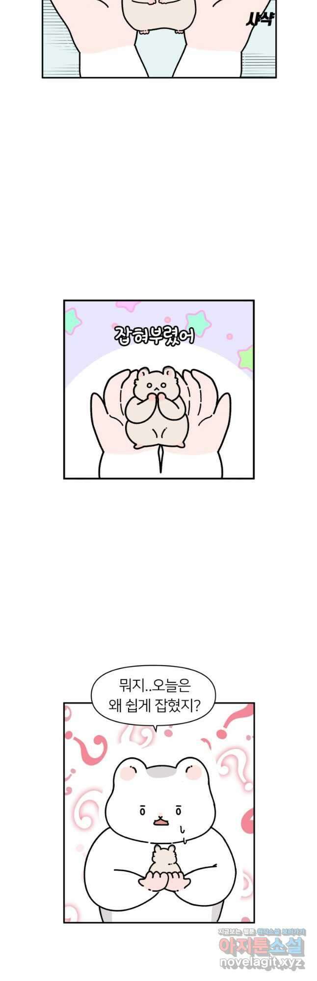 어쩌다 햄스터 6. 햄스터가 탈출했다 8