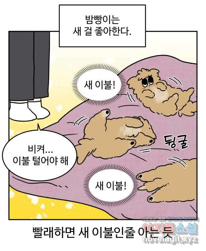 강아지는 멍멍하고 짖지 않아! 87화 - 새걸로 주세요 4