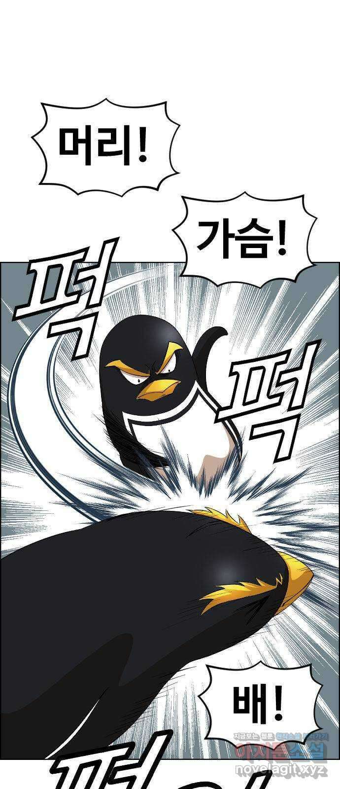 돌아온 쿠쿠짱 39화 특!별!권!법! 11