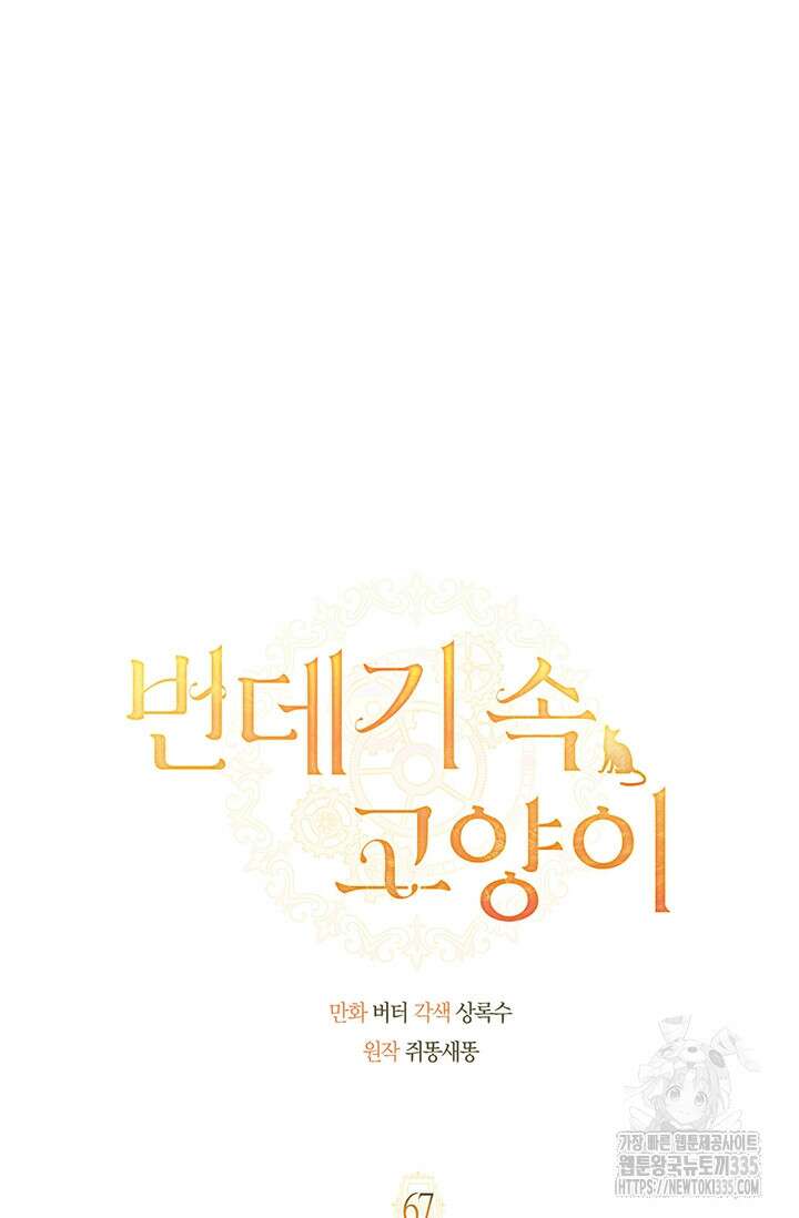 번데기 속 고양이 67화 13