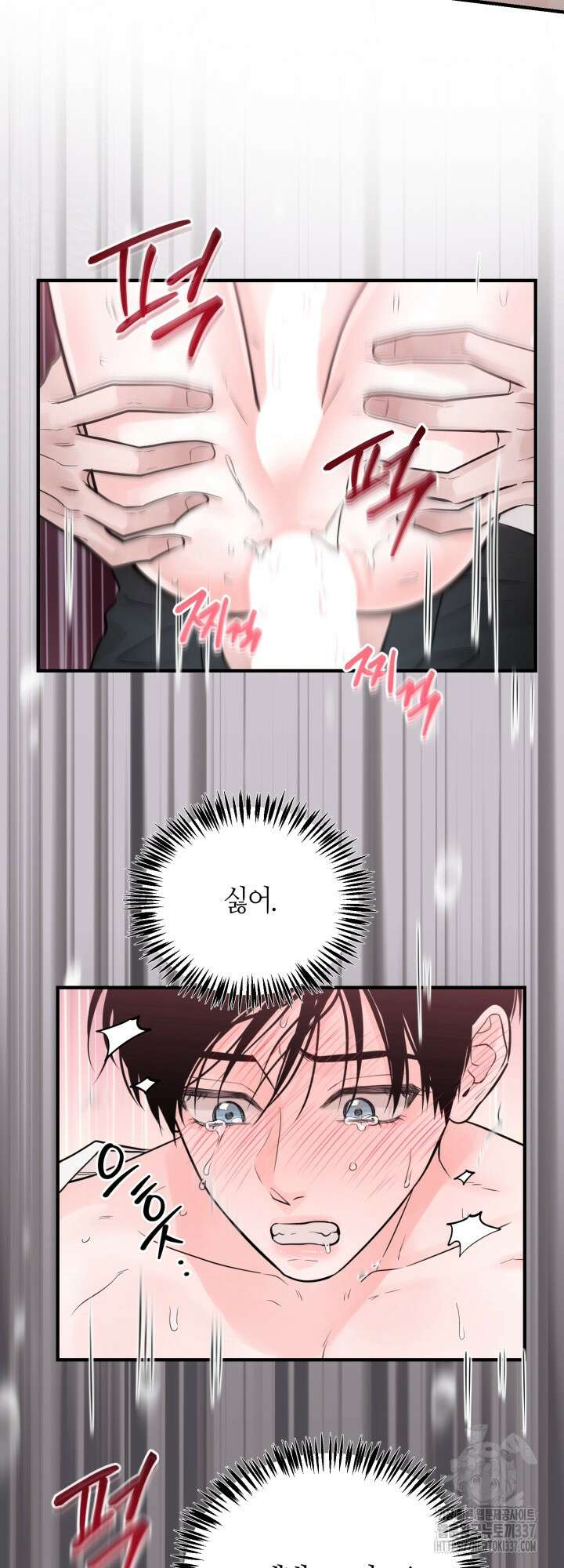 [성비단] 견공주의 주광성 2화 - 맛설탕 작가 8