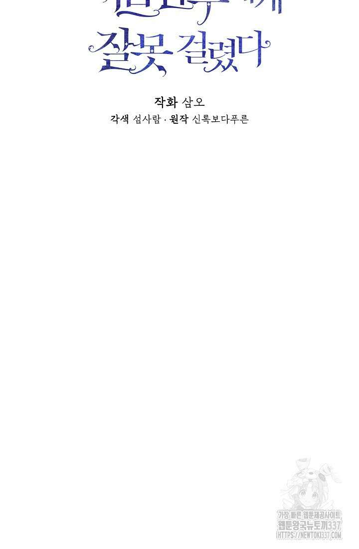 정체를 숨긴 서브남주에게 잘못 걸렸다 66화 18