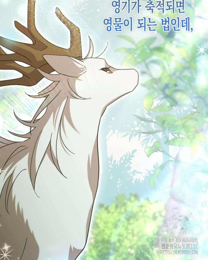 몰락 세가의 시한부 영약 13화 15